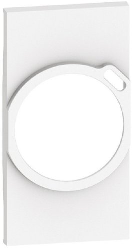 Лицевая панель Legrand BTicino Living Now для 1-м. 2 мод. розетки 220В+USB белый картинка